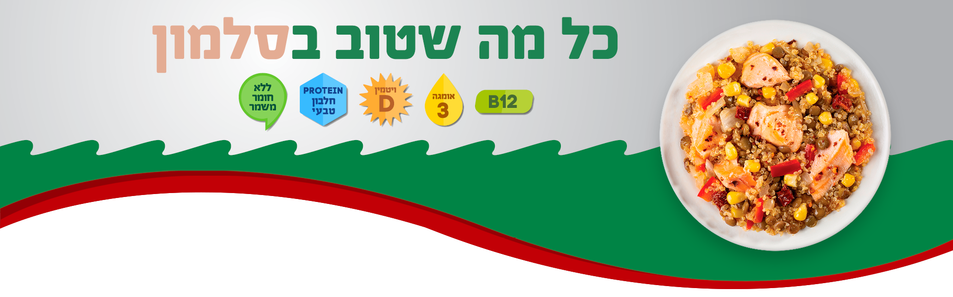 באנר תועלות סלמון